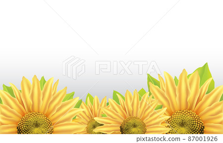 Vector background with large flower of sunflower Vector background with large flower of sunflower 87001926