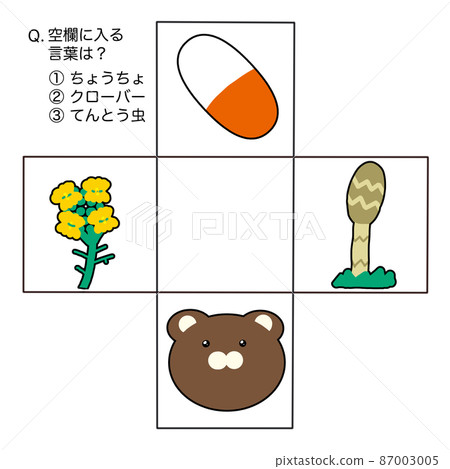 Blank word quiz 3 Blank word quiz 3 87003005