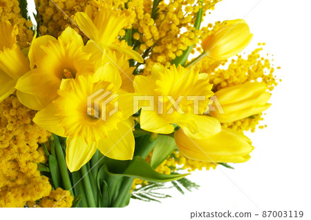 Mimosa, daffodil and tulip flowers bouquet on white background. Easter, Mothers Day, Women's day concept 87003119