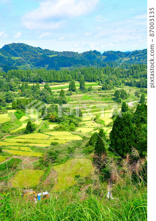 Rice paddy of Star Pass (Niigata Prefecture) 87003135