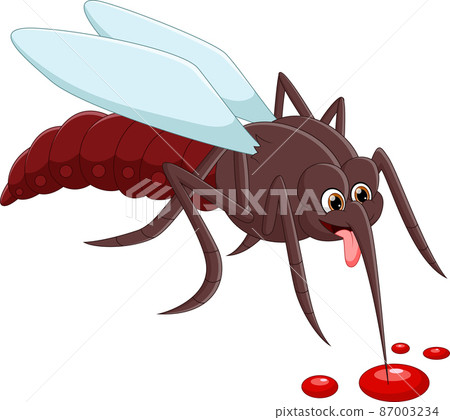 cartoon mosquito drinking blood on white background cartoon mosquito drinking blood on white background 87003234