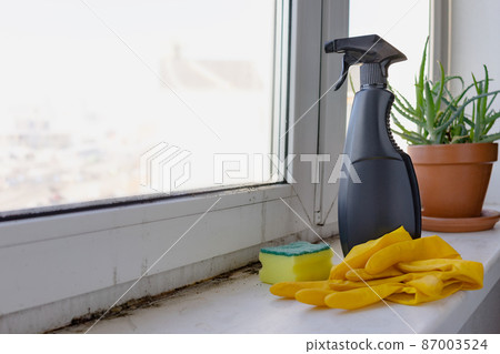 Cleaning supplies, housekeeping. Mold in the corner of the window. Preparation for removing mold. Copy space. 87003524