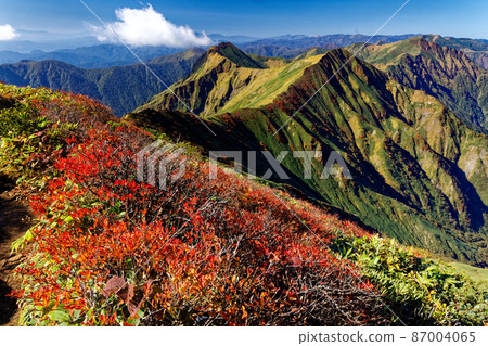 谷川山脊和上越邊境山脊的秋葉景觀 87004065