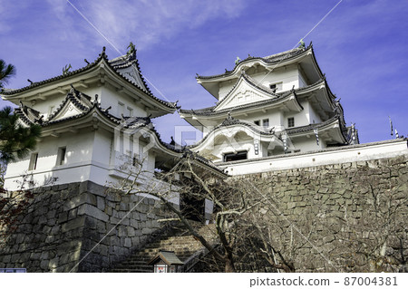 Iga Ueno Castle Tower, Iga City, Mie Prefecture 87004381