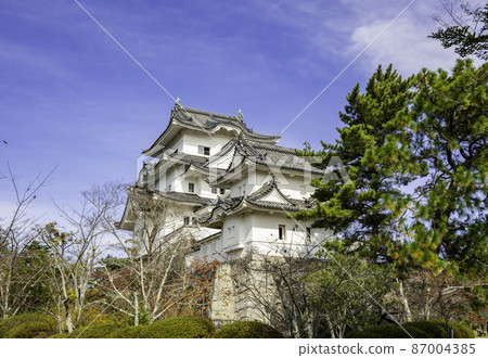 三重縣伊賀市伊賀上野城樓 三重縣伊賀市伊賀上野城樓 87004385