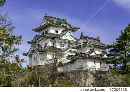 三重縣伊賀市伊賀上野城樓 三重縣伊賀市伊賀上野城樓 87004388