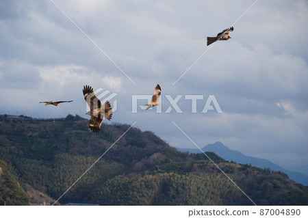 A flock of black kites that appear to be flying over the clouds A flock of black kites that appear to be flying over the clouds 87004890