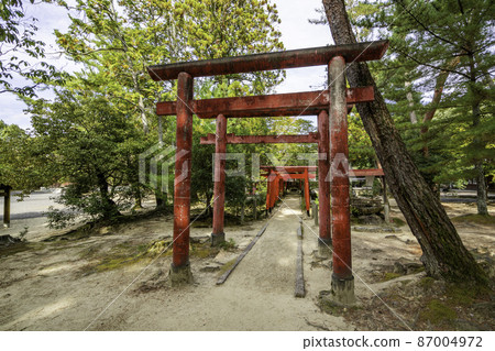 Ueno Park Shiroyama Inari Shrine Iga City, Mie Prefecture 87004972