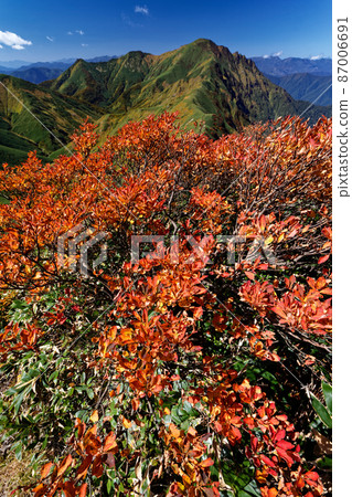 萬太郎山和谷川山脈和小鹿澤的紅葉景觀 萬太郎山和谷川山脈和小鹿澤的紅葉景觀 87006691