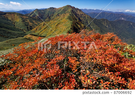 萬太郎山和谷川山脈和小鹿澤的紅葉景觀 萬太郎山和谷川山脈和小鹿澤的紅葉景觀 87006692