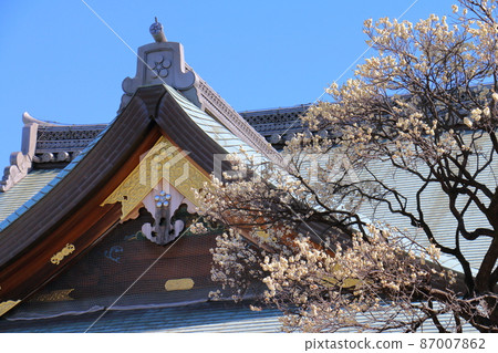 湯島天神社梅梅祭湯島天滿宮湯島神社,俗稱湯島天神,湯島,文京區,東京 湯島天神社梅梅祭湯島天滿宮湯島神社,俗稱湯島天神,湯島,文京區,東京 87007862