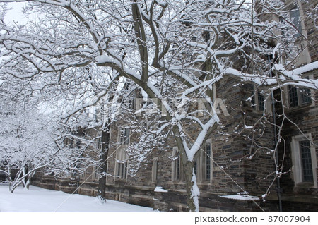 普林斯頓大學的雪景 普林斯頓大學的雪景 87007904