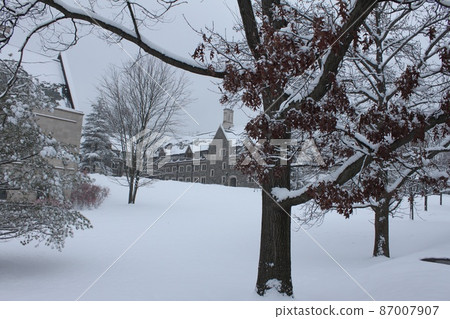 Snow scene at Princeton University Snow scene at Princeton University 87007907