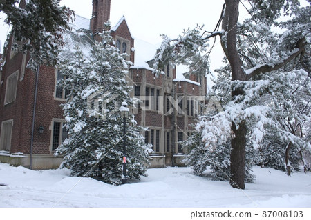 Snow scene at Princeton University 87008103