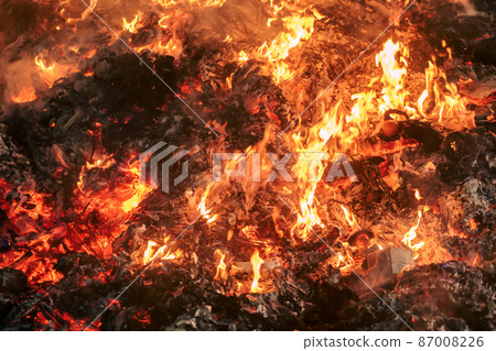 Burning bonfire flame Burning bonfire flame 87008226