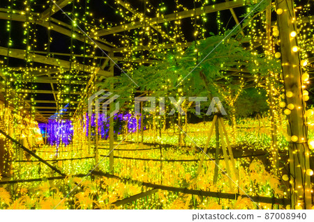 Illuminated Japanese garden scenery Yuushien 87008940