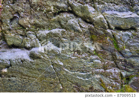 Rock moss and snow Hokuriku in winter Rock moss and snow Hokuriku in winter 87009513