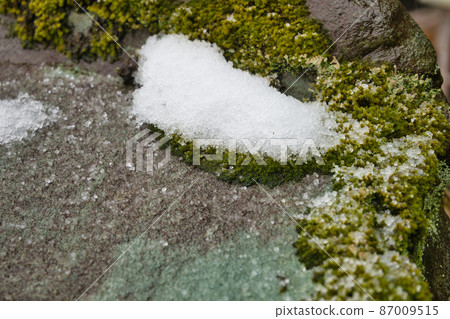Rock moss and snow Hokuriku in winter Rock moss and snow Hokuriku in winter 87009515