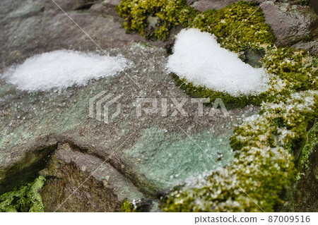 Rock moss and snow Hokuriku in winter Rock moss and snow Hokuriku in winter 87009516