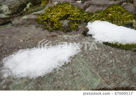 Rock moss and snow Hokuriku in winter Rock moss and snow Hokuriku in winter 87009517
