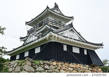 Hamamatsu Castle 87009784