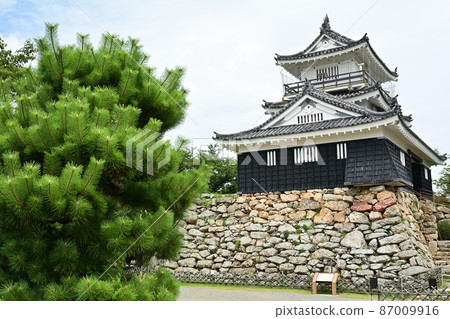Hamamatsu Castle Hamamatsu Castle 87009916