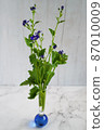 Place flowers picked in the garden in a glass vase 87010009