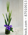 Japanese and Western ikebana of green wheat and green bamboo 87010013