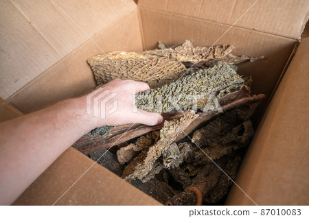 The hand holds dried beef tripe. Dried stomach. Man puts pieces of treats in cardboard box. The hand holds dried beef tripe. Dried stomach. Man puts pieces of treats in cardboard box. 87010083