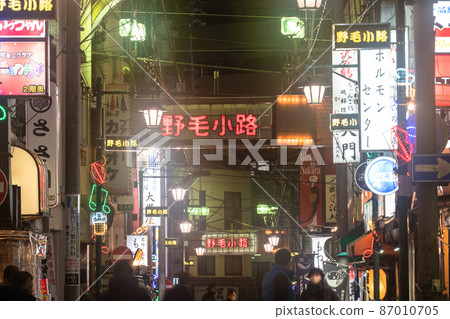 《Kanagawa Prefecture》 Noge alley, nostalgic bar town 87010705