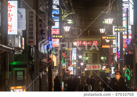 《Kanagawa Prefecture》 Noge alley, nostalgic bar town 87010708