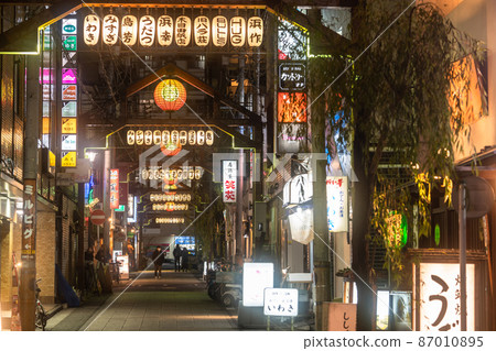 《Kanagawa Prefecture》 Noge alley, nostalgic bar town 87010895