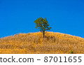 The scenery on the mountain in the afternoon.15 87011655