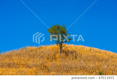 The scenery on the mountain in the afternoon.15 The scenery on the mountain in the afternoon.15 87011655