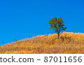 The scenery on the mountain in the afternoon.16 87011656