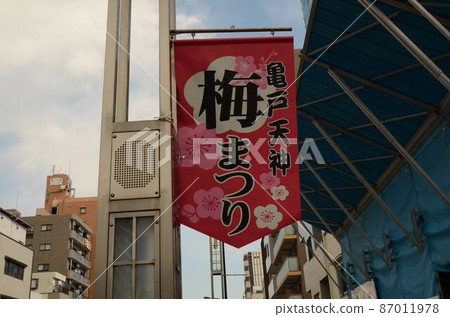 梅花節,龜戶八幡宮 梅花節,龜戶八幡宮 87011978