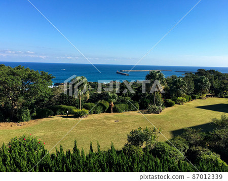 Yakushima: Overlooking the sea through the garden of Yakushima Green Hotel 87012339