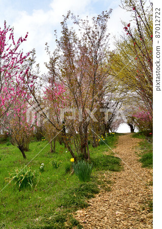 Hanamiyama Park Hanamiyama Park 87012722