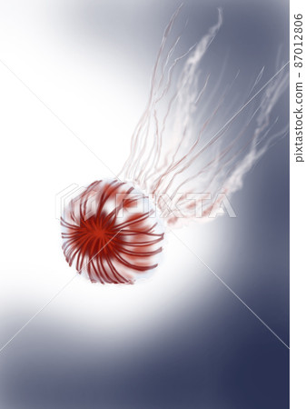 Deep sea red jellyfish 87012806
