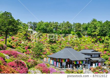 青梅市鹽船觀音杜鵑花節 87012812