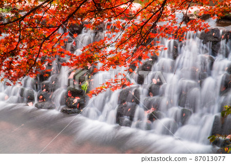 長城白楊寺Dosolcheon溪流的瀑布和紅楓樹 長城白楊寺Dosolcheon溪流的瀑布和紅楓樹 87013077