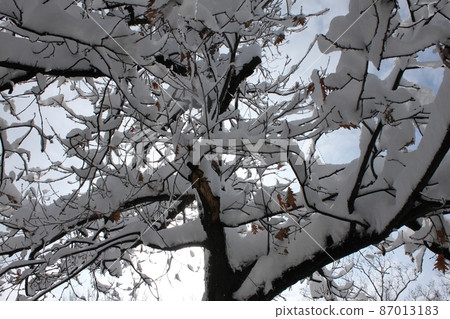 新澤西雪景 新澤西雪景 87013183