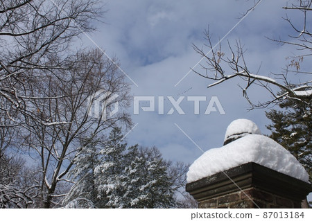 新澤西雪景 新澤西雪景 87013184