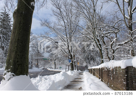 新澤西雪景 新澤西雪景 87013186
