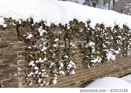 新澤西雪景 新澤西雪景 87013188