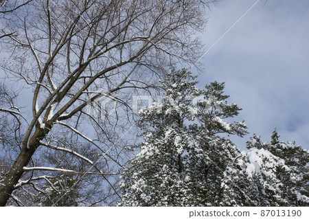 新澤西雪景 新澤西雪景 87013190