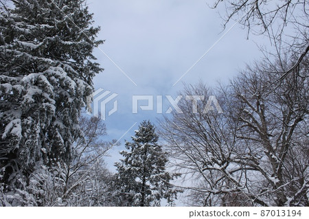 New jersey snow scene 87013194