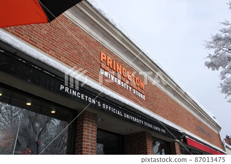 Princeton University store 87013475