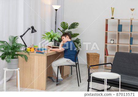 A young boy is sitting at his desk reading a book. 87013571