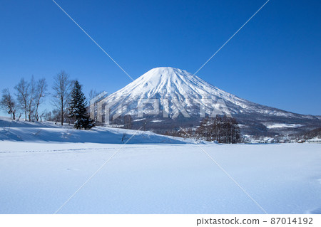 Winter land and Mt. Yotei Winter land and Mt. Yotei 87014192